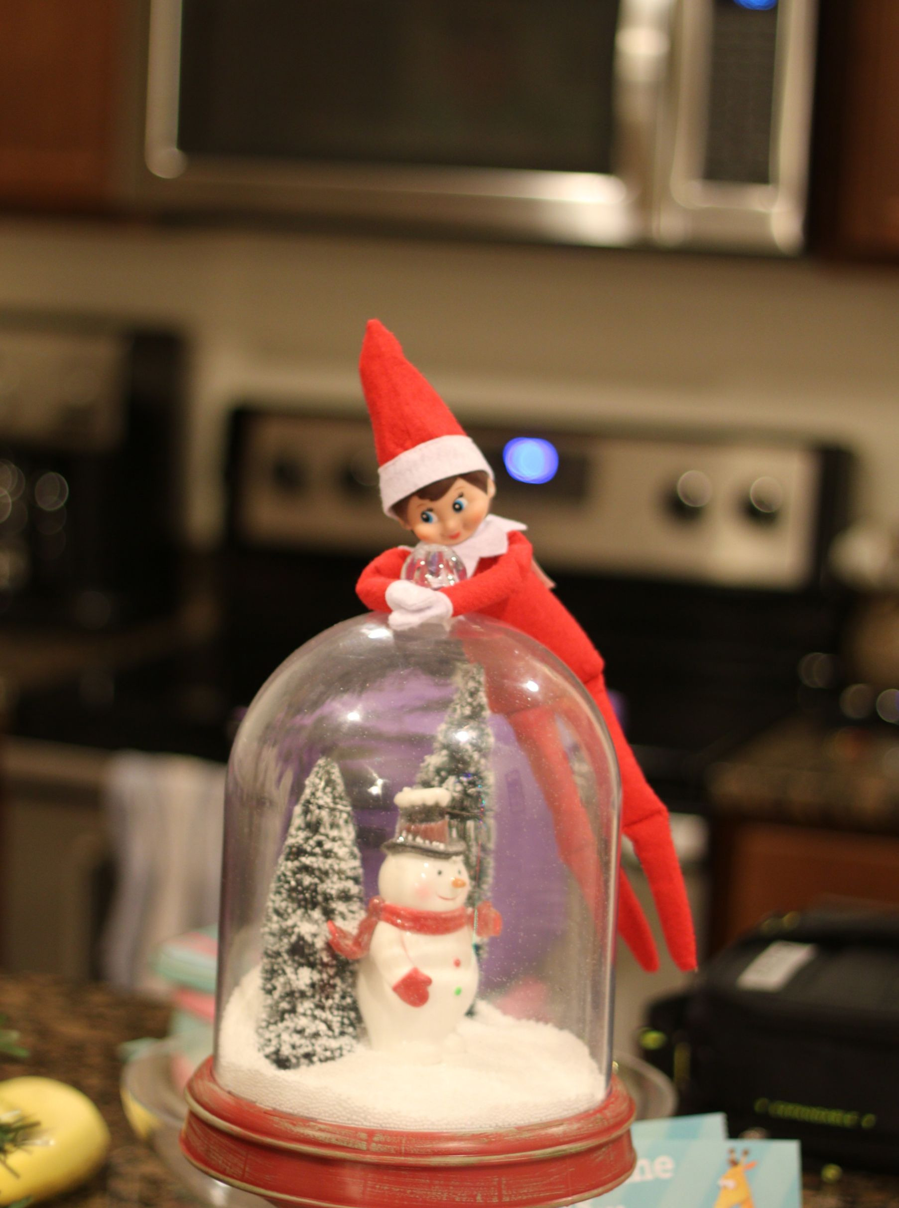 Elf on the Shelf Ideas