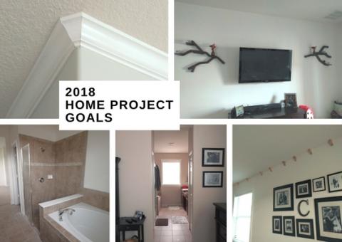 Home Project Goals